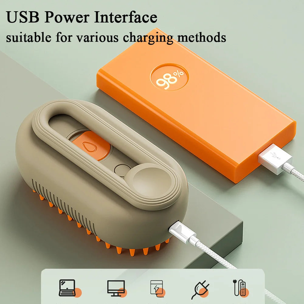 Steam Spray Pet Grooming Brush